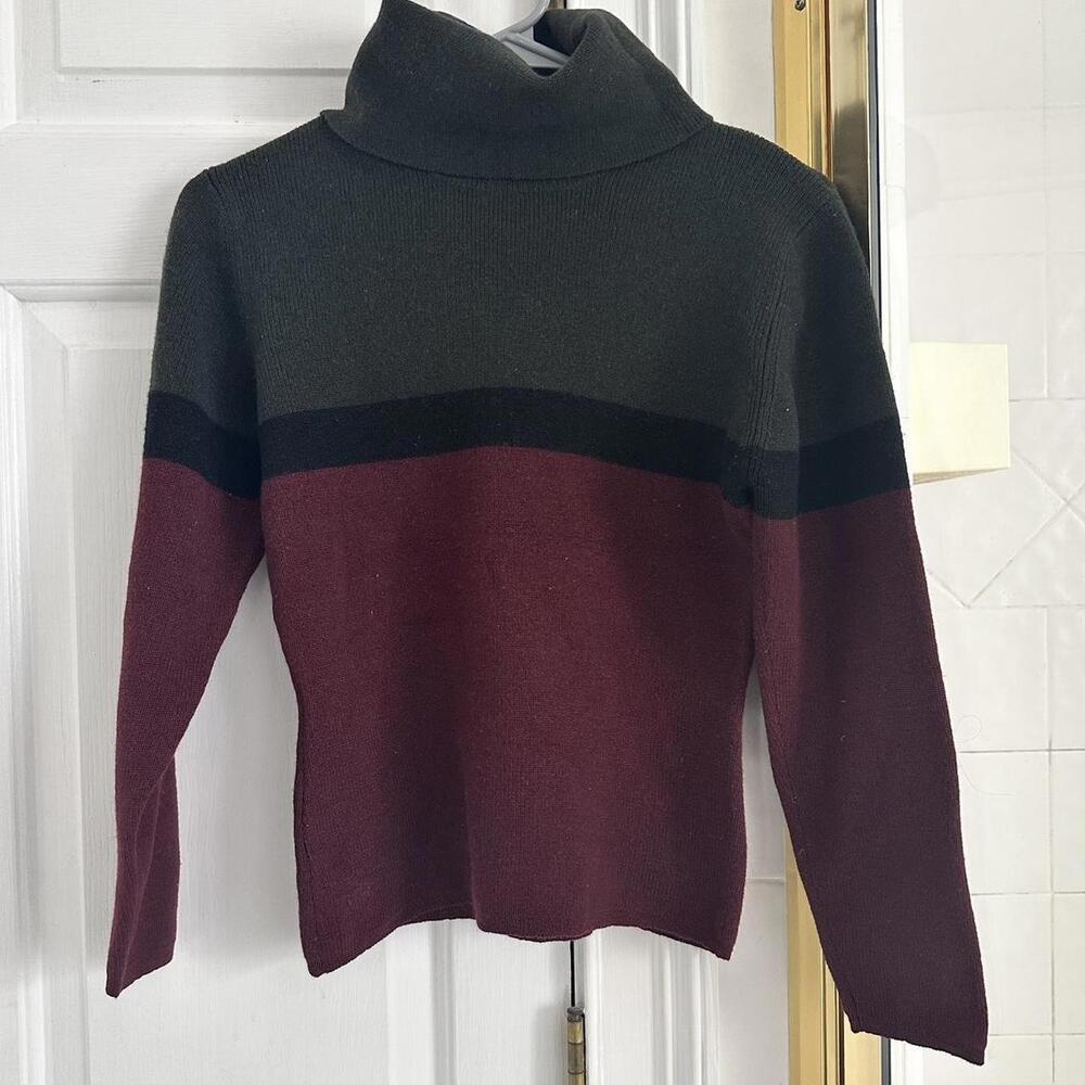 Women's Burgundy and Multi Jumper